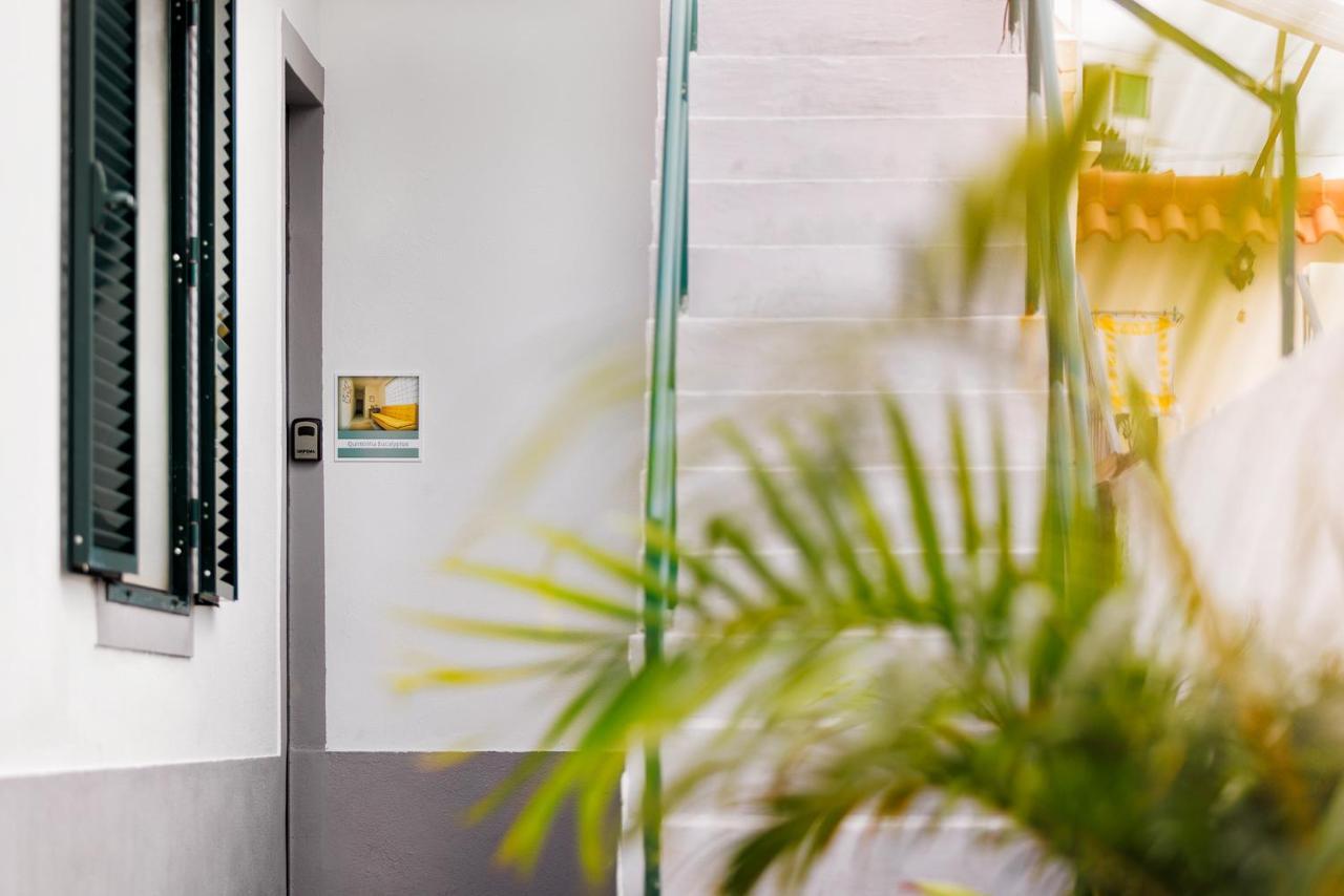 Quintinha Tropical - Panoramic Gateway To Madeira Hotel Фуншал Екстериор снимка
